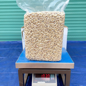 Cheap Bulk Cashew <b>Kernel</b> SANTIGO Caju Badam Kaju Cashew <b>Nuts</b> <b>Kernel</b> SK - Product Image 1