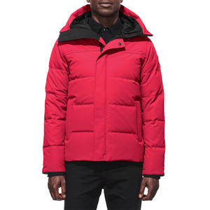 Chaqueta Acolchada para Hombre de Fábrica OEM, Chaqueta de Invierno con Logotipo Personalizado para Marca y Etiqueta Privada - Product Image 1