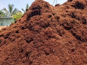 Bloc de tourbe de coco premium le plus vendu, petit format, pour la culture de vos plantes en tourbe de coco et la décoration de jardin en vrac - Product Image 6