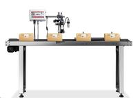 Machine industrielle de codage par lots d'imprimante à jet d'encre en ligne TIJ pour machine d'impression de date d'expiration