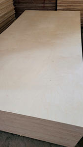 Contrachapado Fomex de Primera Calidad con Núcleo de Eucalipto y Chapa de Abedul, Estándar E0 de Formaldehído, Decoración de Doble Cara, Diseño Moderno para Interiores - Product Image 5