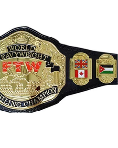 เข็มขัดแชมป์โลกเฮฟวี่เวท ECW รุ่นจำลอง ขนาดผู้ใหญ่ สำหรับนักมวยปล้ำมืออาชีพ ของสะสม ของขวัญสำหรับแฟนๆ - Product Image 6
