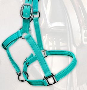 Elegante Cabestro de Cuero Vacuno Suave Color Verde Azulado con Acolchado de Neopreno y Herrajes de Acero Inoxidable para Equitación Inglesa, Venta al por Mayor OEM - Product Image 1
