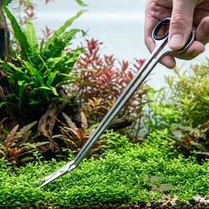 Ciseaux d'aquascaping pour aquarium, 10 pouces de long, courbés, en acier inoxydable, fourniture d'usine - Product Image 1