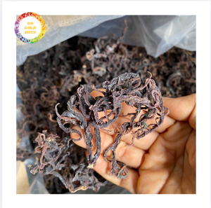 Matière première d'algues Eucheuma Cottonii séchées pour la production de carraghénane, mousse de mer dorée naturelle pour l'exportation industrielle - Product Image 1