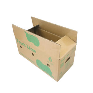 Caja de Cartón Rígido de Papel Corrugado, Ecológica, de Alta Calidad, Hecha con Materiales Reciclados, Personalizable, para Agricultura, Frutas Frescas y Alimentos - Product Image 1