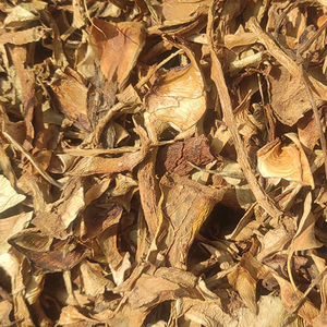 Polvo de Hoja de Aloe Vera Orgánico de Alta Calidad, Hidratante, Eliminador de Puntos Negros y Ojeras, Cuidado de la Piel y el Cabello, Certificado ISO Terra - Product Image 2