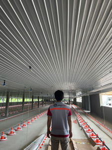 Estructura de Techo de Acero Ligero para Gallinero Eratek EC100.100, Grado G550, Estándar JIS, para Viviendas Residenciales - Product Image 6