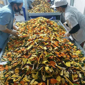 Chips de fruits mélangés croustillants, frites sous vide, 100% naturelles, collations saines, mélange de fruits tropicaux séchés, faible teneur en sucre, fournisseur en gros - Product Image 4