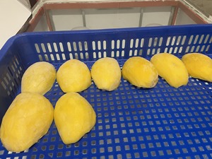 Mejillas de Mango Congeladas IQF de Primera Calidad al por Mayor a Precio Económico con Proceso de Preservación de Agua, Fruta Congelada de Alta Calidad - Product Image 5