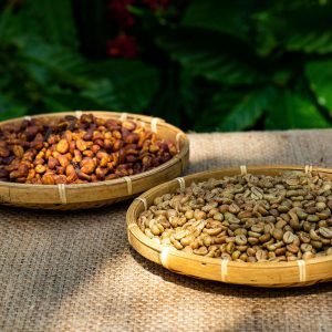 Café vert non torréfié de qualité 100% naturelle, grains de café Arabica et Robusta de première qualité pour l'exportation OEM/ODM du Vietnam, vente en gros - Product Image 4