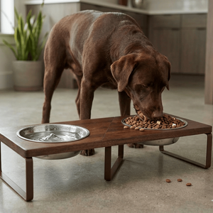 Comederos Elevados Modernos para Perros, Comedero para Mascotas de Acero Inoxidable con Soporte de Madera |   Tazón de Comida para Perros y Gatos |   Accesorios de Lujo para Mascotas - Product Image 4