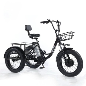 Tricycle électrique cargo à assistance au pédalage, pneus neige 20 pouces, batterie lithium 48V, moteur sans balais, frein à disque, 7 vitesses, cadre en acier, moyeu arrière - Product Image 1