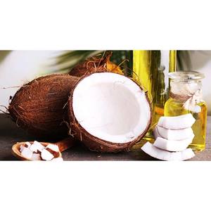 Proveedor de Aceite de Coco Orgánico 100% Puro al por Mayor, Prensado en Frío - Product Image 2