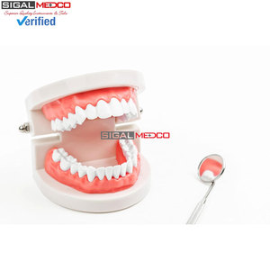 Herramientas de Limpieza Dental de Acero Inoxidable, Juego de 3 Piezas: Raspador de Sarro, Pinzas y Espejo Bucal, para Consultorio Dental, Hogar y Mascotas - Product Image 3