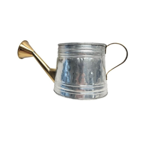 Arrosoir en métal galvanisé style vintage avec bec et poignée en laiton, pour plantes et fleurs d'intérieur et d'extérieur, prix avantageux - Product Image 1