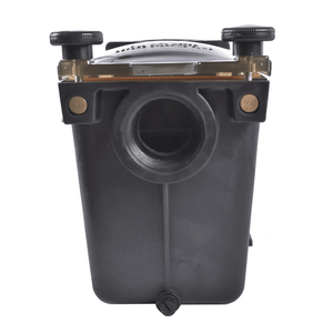 Motore per Pompa Piscina Monofase 2.5HP W3SP2621X25 115V/230V Trifase con Filtro in Acciaio Inox per Piscina e Vasca Idromassaggio Elettrica - Product Image 6