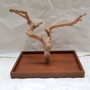 Producto Popular, Percha de Madera de Java (Madera de Café) para Pájaros, Juguetes para Loros, Accesorios para Aves, de Fabricante Vietnamita, Venta al por Mayor - Product Image 6