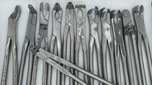 2026 12 Pieces Set High Quality Adjustable Stainless Steel Dental Horse Forceps | Equine Tooth Extraction <b>Veterinary</b> <b>Instruments</b> - Product Image 1