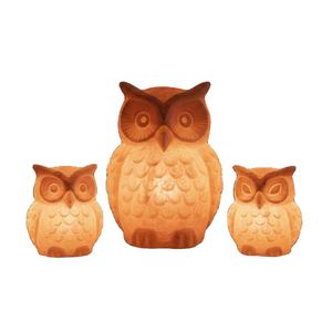 Lámparas de sal en forma de búho del Himalaya - Product Image 1