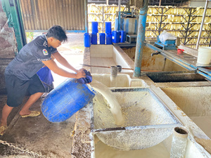 Lámina de caucho natural de alta calidad Vietnam Ngoc Chau, acanalada y ahumada, grado de moldeo por soplado, resistente a bajas temperaturas, uso médico. - Product Image 2