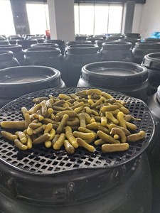 [MEILLEUR NOTATION] |   Concombres en conserve croustillants, concombres bébés en marinade pour burgers, sandwichs et traiteur, en provenance du Vietnam - Product Image 2