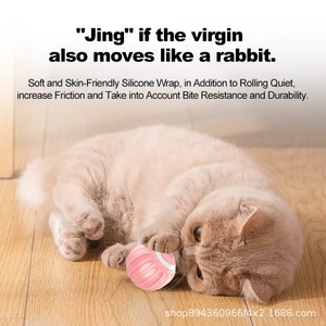 Pet Smart Dual-Mode <b>Bouncing</b> <b>Ball</b> - Product Image 5