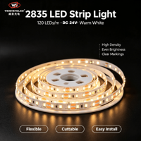 Bande LED flexible haute luminosité DC24V 120LEDs/m SMD2835, température de couleur 3000K-6000K, éclairage paysager à corps en cuivre.