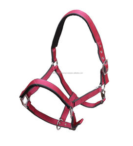 High on Demand Caballo Equitación PP Halter Cómodo Cuero Caballos de Carreras de Caballos - Product Image 3
