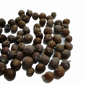 Premium Quality For Private Label Wholesale Bulk Organic Natural Dried Juniper Berries New Season Packaging OEM Service - Product Image 3