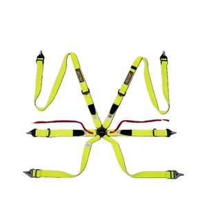 Arnés Homologado por la FIA para Pilotos TBRACING, Logotipo Personalizado, Proveedor OEM ODM, Ajuste Ergonómico a la Cadera y Ajuste del Cinturón de Seguridad - Product Image 2