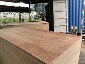 ไม้อัดเมลามีน/เบิร์ช/บินตังกอร์/อูคูเมะ ขายดี - แผ่นไม้อัดสำหรับขาย - ราคาถูกจากโรงงาน - Product Image 3