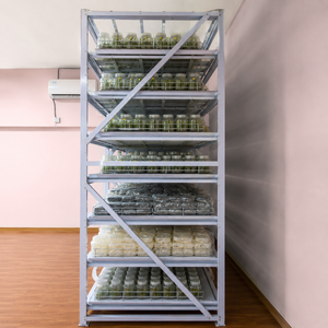 Estante de Cultivo de Tejidos Vegetales para Plantas Industriales con Iluminación LED de Bajo Consumo - Product Image 1