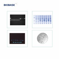 BIOBASE Système d'imagerie automatique sur gel intégré Fabrication BK-AGX3 Système d'imagerie automatique sur gel Prix de filtre spécial pour laboratoire