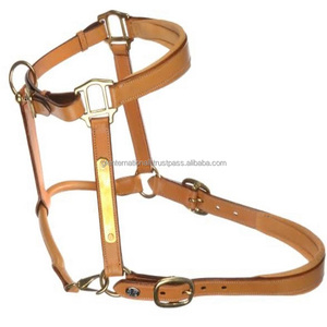 Cabestro de caballo de cuero de sillín inglés tostado hecho a medida con placa de nombre de latón personalizada y anillo ajustable con hebilla de doble corona - Product Image 1