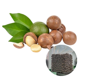 Nueces de Macadamia Tostadas y Partidas Hechas en Vietnam, las Más Vendidas a Bajo Precio, al por Mayor - Product Image 1