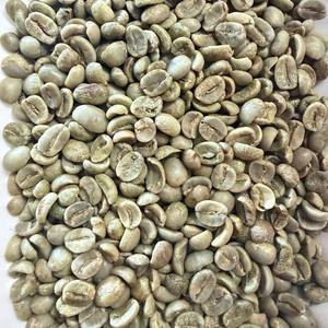 Proveedor de Vietnam: Café Arábica en Grano S16, S18 Sin Tostar, Totalmente Lavado/Proceso de Pulido Húmedo, Café Verde al por Mayor - Product Image 3