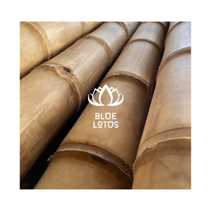 Los Más Vendidos, Varas de Bambú Ecológicas y Duraderas de Alta Calidad, Estacas de Soporte para Plantas de Jardín Sostenibles de Grado Premium, al por Mayor - Product Image 1