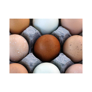 ไข่ไก่สดจากฟาร์ม ไข่ไก่เปลือกสีน้ำตาลและสีขาว ซื้อจำนวนมาก ไข่ขาวออร์แกนิก 100% ไข่ขาวจากโรงงานโดยตรง - Product Image 1