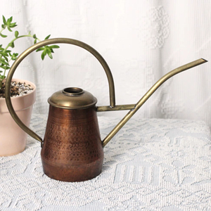 Arrosoir vintage à long bec, design martelé foncé, idéal pour une arrosage contrôlé et écologique et des soins quotidiens des plantes, provenant d'Inde. - Product Image 1