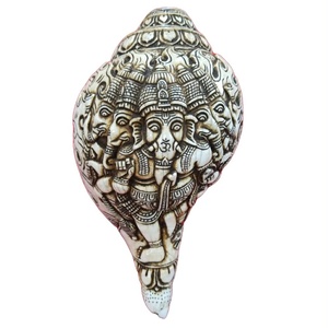 Panchamukhi Ganesh, Concha Marina Tallada de 5 Cabezas, Decoración Artesanal, Arte Budista Religioso de Marfil, Técnica Cruda, Estilo Animal Cruzado - Product Image 1