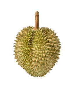 VDELTA Vietnam Monthong (Dona) Durian |   Fresco y Congelado |   Suministro al por Mayor - Product Image 1