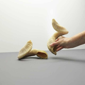 เครื่องดนตรีแตรเขาแกะกูดู ทำจากเขาแกะ ขัดเงาด้วยหินอาเกต เป็นมิตรกับสิ่งแวดล้อม ปรับขนาดได้ งานศิลปะรูปสัตว์ ของสะสม - Product Image 3