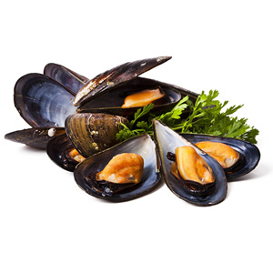 Venta Especial de Mariscos: Carne de Mejillón Congelada y Cocida, con o sin Concha - Product Image 5