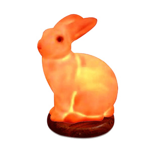 Lámpara de Sal Rosa con Forma de Animal para Decoración de Dormitorios, Fabricante con MOQ Bajo y Tiempo de Producción Rápido - Product Image 3
