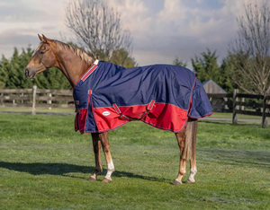 Couverture d'hiver imperméable 600D pour cheval, 300 g/m², chaude, avec col haut, grande rabat de queue, quincaillerie en acier inoxydable et lavable en machine - Product Image 2