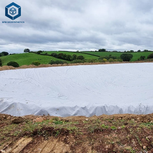 Excellents fournisseurs de géotextiles pour la stabilisation des sols sous <span class=keywords><strong>gravier</strong></span> près de chez moi pour des solutions de renforcement du sol - Product Image 3