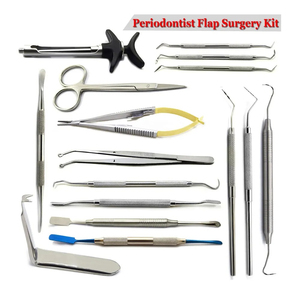 Instruments de chirurgie parodontale à pont osseux, kit d'approche BBI-245, Classe II, certifié CE, en acier inoxydable réutilisable - Product Image 4