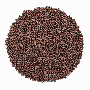 Graines de moutarde Aqua Vriksha Premium |   Graines de moutarde indiennes entières naturelles pour la cuisine, les cornichons et les mélanges d'épices - Product Image 5