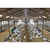 Abri préfabriqué pour l'élevage de chèvres, structure en acier, système de construction de bâtiments pour chèvres, fabricant, fournisseur, conception personnalisée